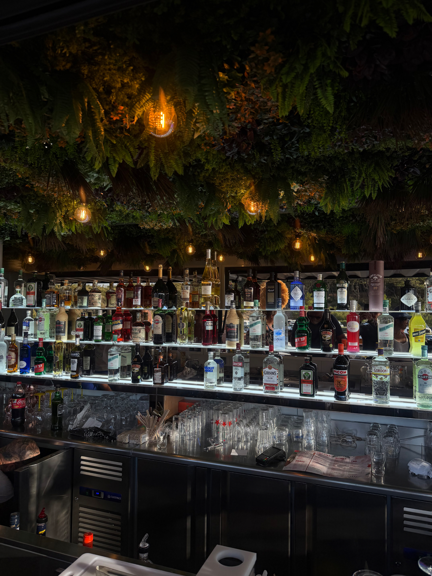 Étagères de bouteilles du bar sous un plafond de fougères et guirlandes lumineuses